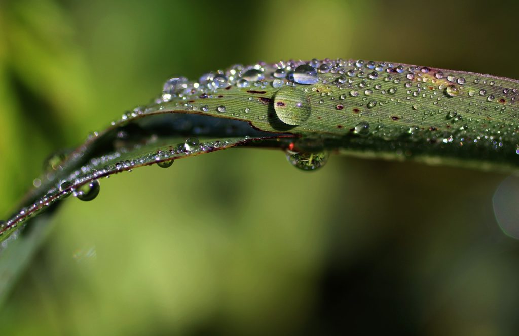 Huda neurja opustošila Slovenijo nalivi, plazovi in hudournikii
